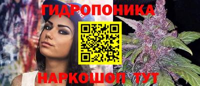 каннабис Новозыбков