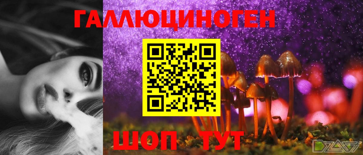 Псилоцибиновые грибы Psilocybe  Вход с VPN  Омск 