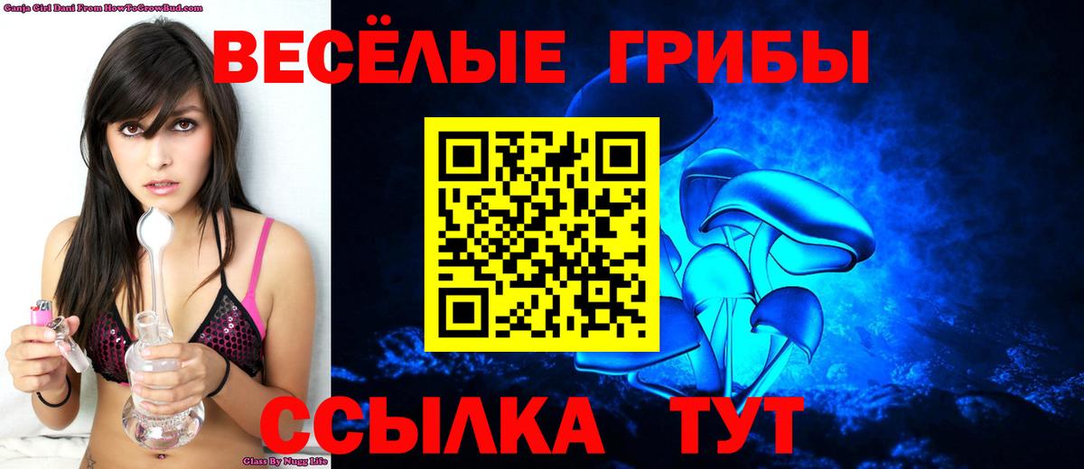 Псилоцибиновые грибы Psilocybine cubensis Омск